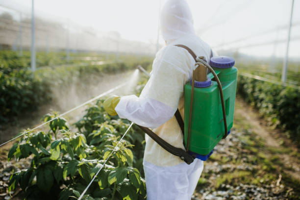 Flea Control Services in Maricopa, CA